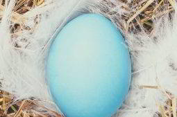 foto de ovo, simbolizando ovo cego ou gravidez anembrionada