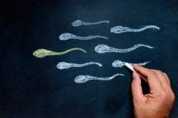 che-cose-la-donazione-di-sperma