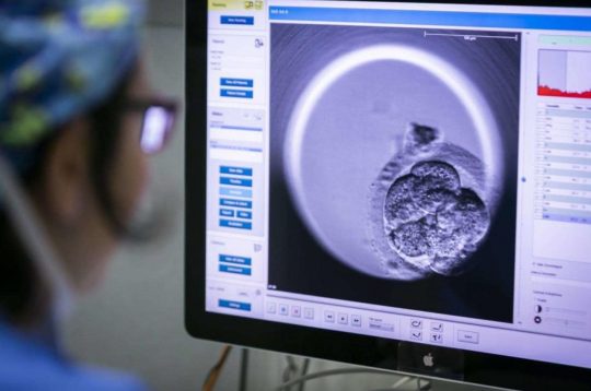 38°Congresso ESHRE – Presentata la ricerca sull’innovativa tecnica di individuazione degli embrioni da impiantare
