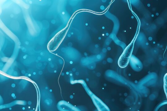 Frammentazione del DNA spermatico: cos’è e come influisce sulla fertilità